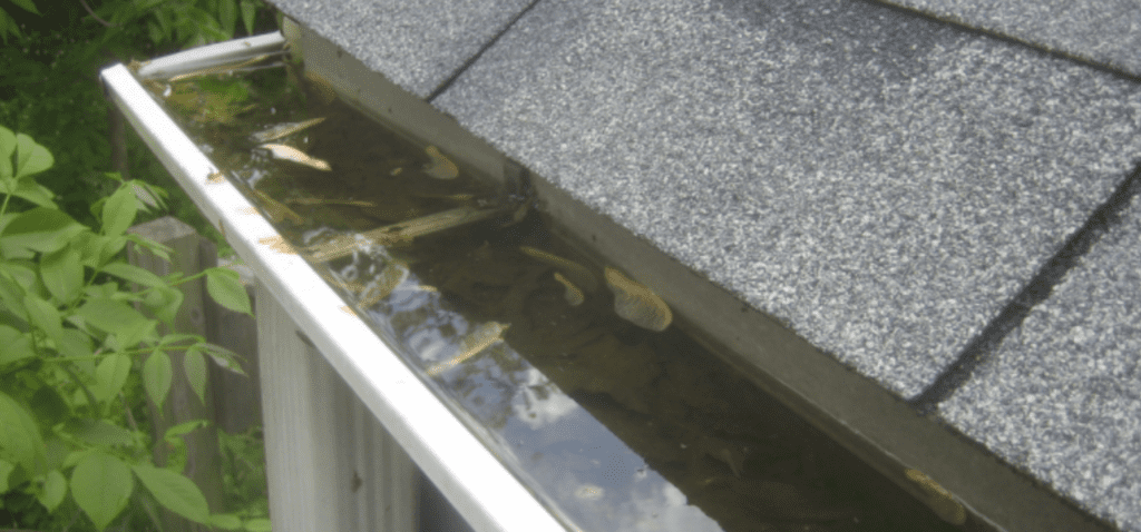 NJ Gutter Cleaning Services
